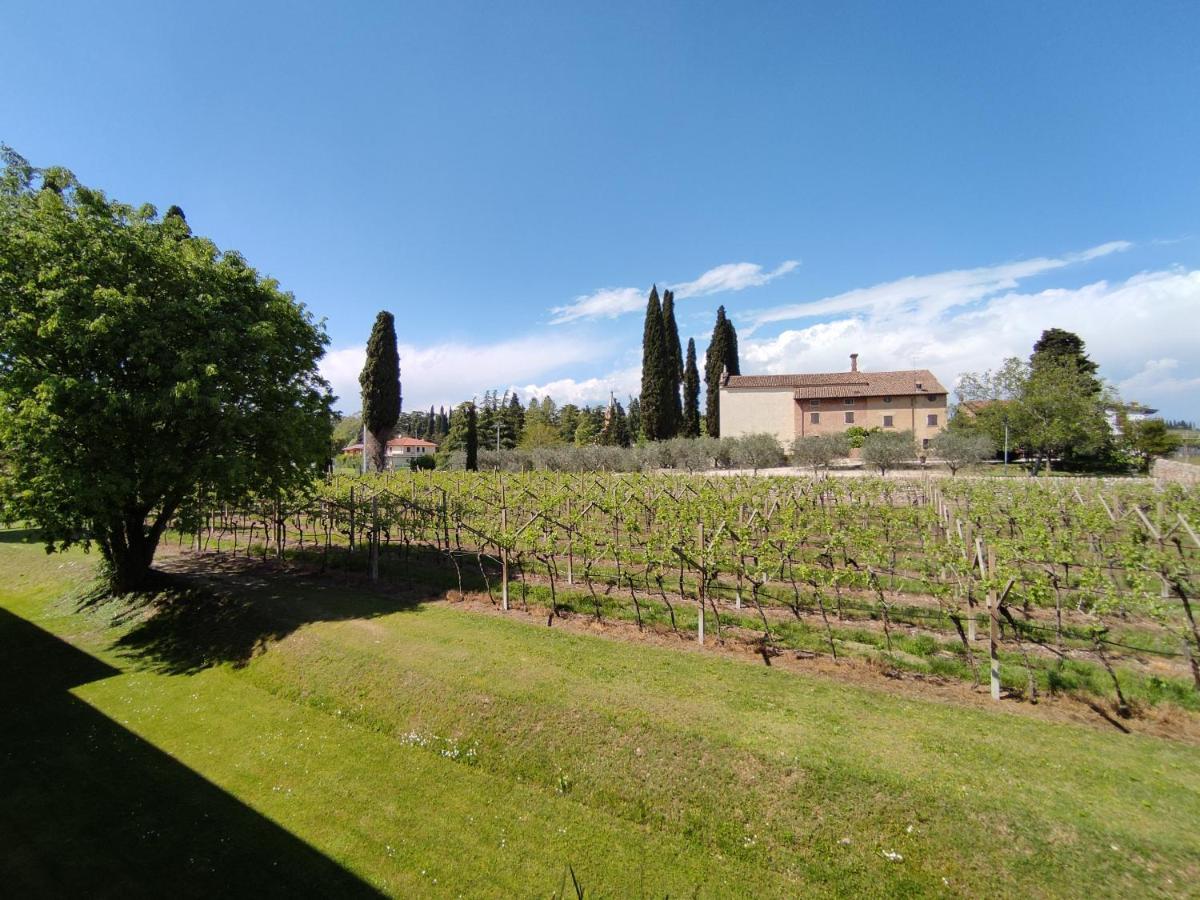 Agriturismo La Vigna Colà Eksteriør bilde