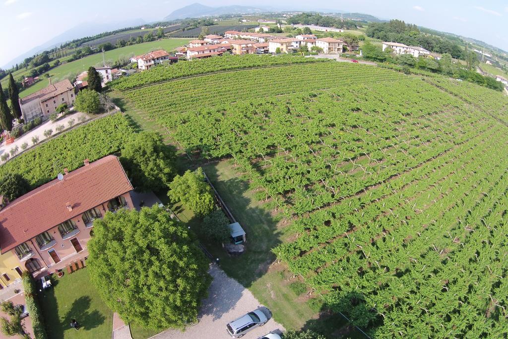 Agriturismo La Vigna Colà Eksteriør bilde